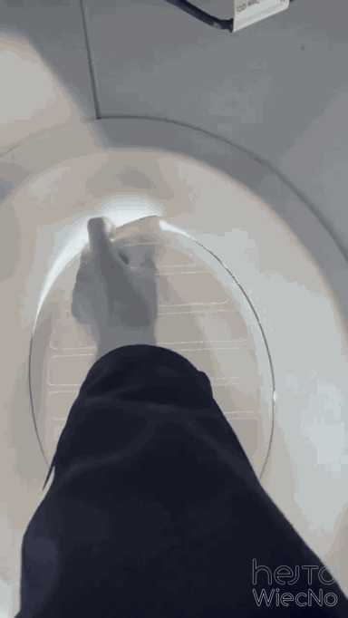 997cdcc8-9f8a-40e5-8096-545ced57e1cf