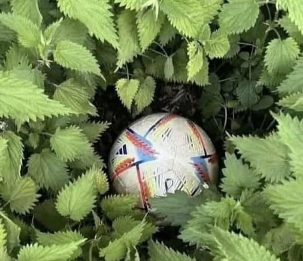 0956b2f9-65a7-4d0a-9c4a-4b33638c18ca