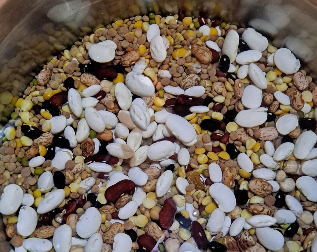 2730690e-768d-4b62-8989-8161eb6dc76d