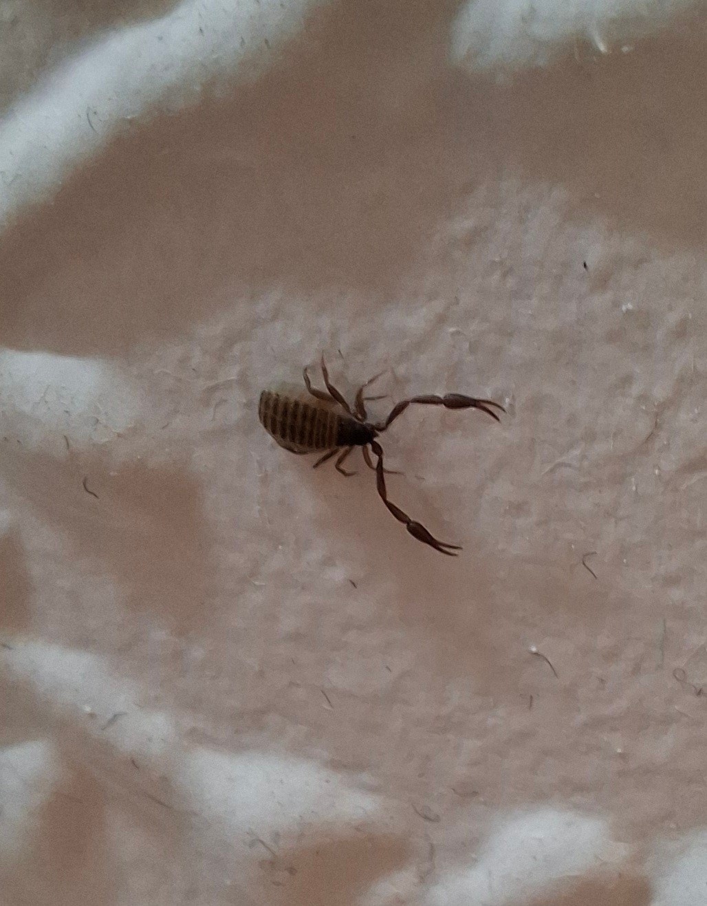 a51b82f0-16ea-46f2-b7c6-87be1e09e00b