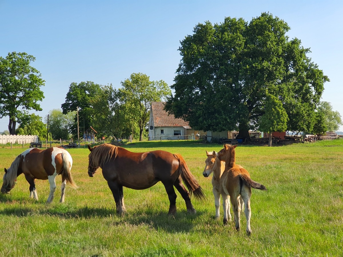 faf3d004-cc36-406d-bf1d-75616dc73d7e