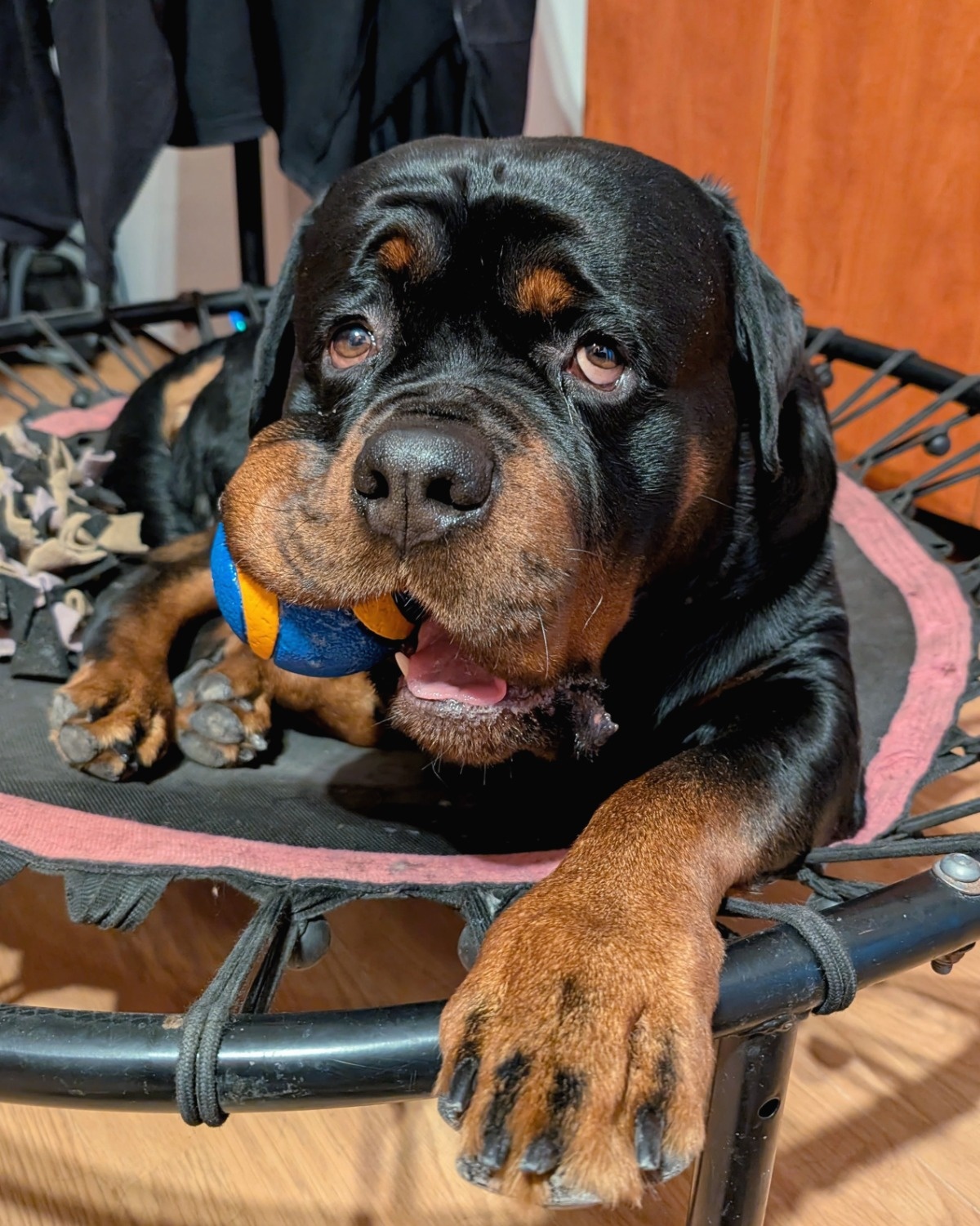 440ecfd1-2591-4a26-a0c9-640369c34224