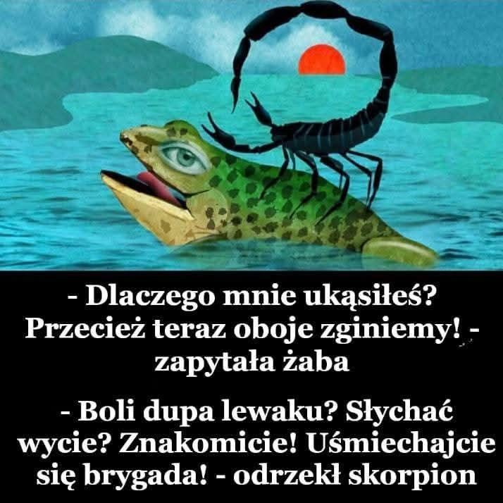 6bdfe8f2-ccbe-4cd4-bc10-2c68894c7543