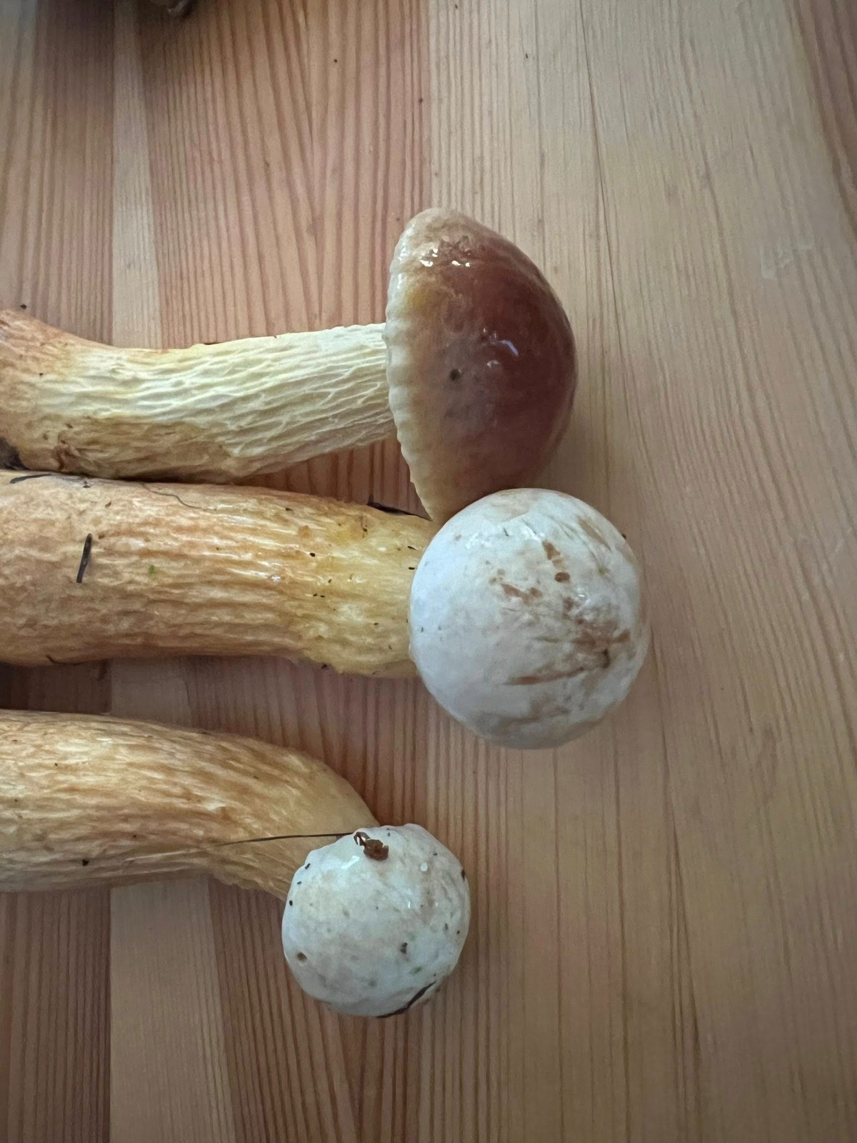 b1061fa7-10a7-4378-9ed2-61289acbf061