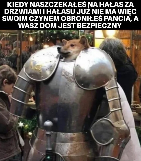 a0fcd24c-4819-4bb2-b077-48af93fe397c