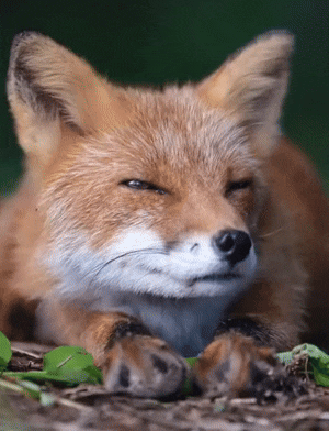 423cdcc3-bb9b-4e5d-adbb-7e87137ed298