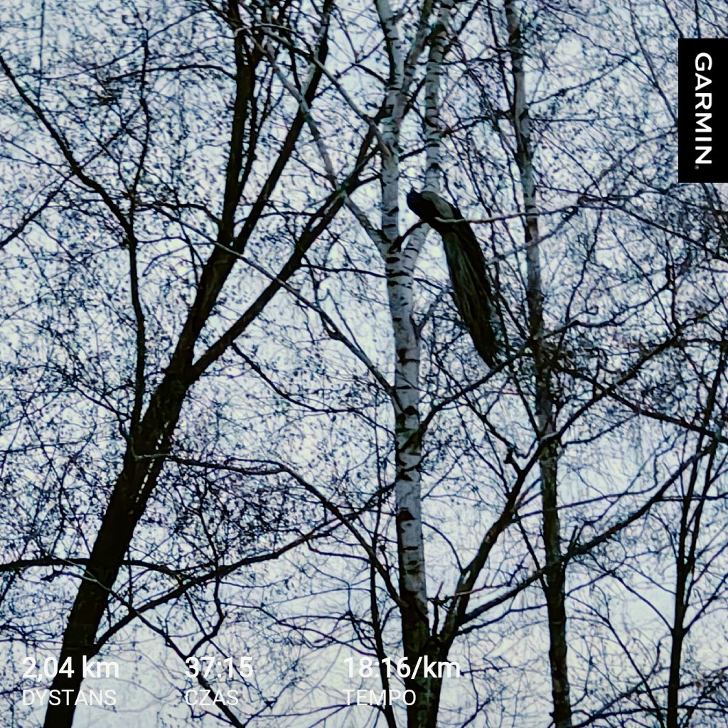 564355ba-362d-457a-b163-6eaf974e2c03