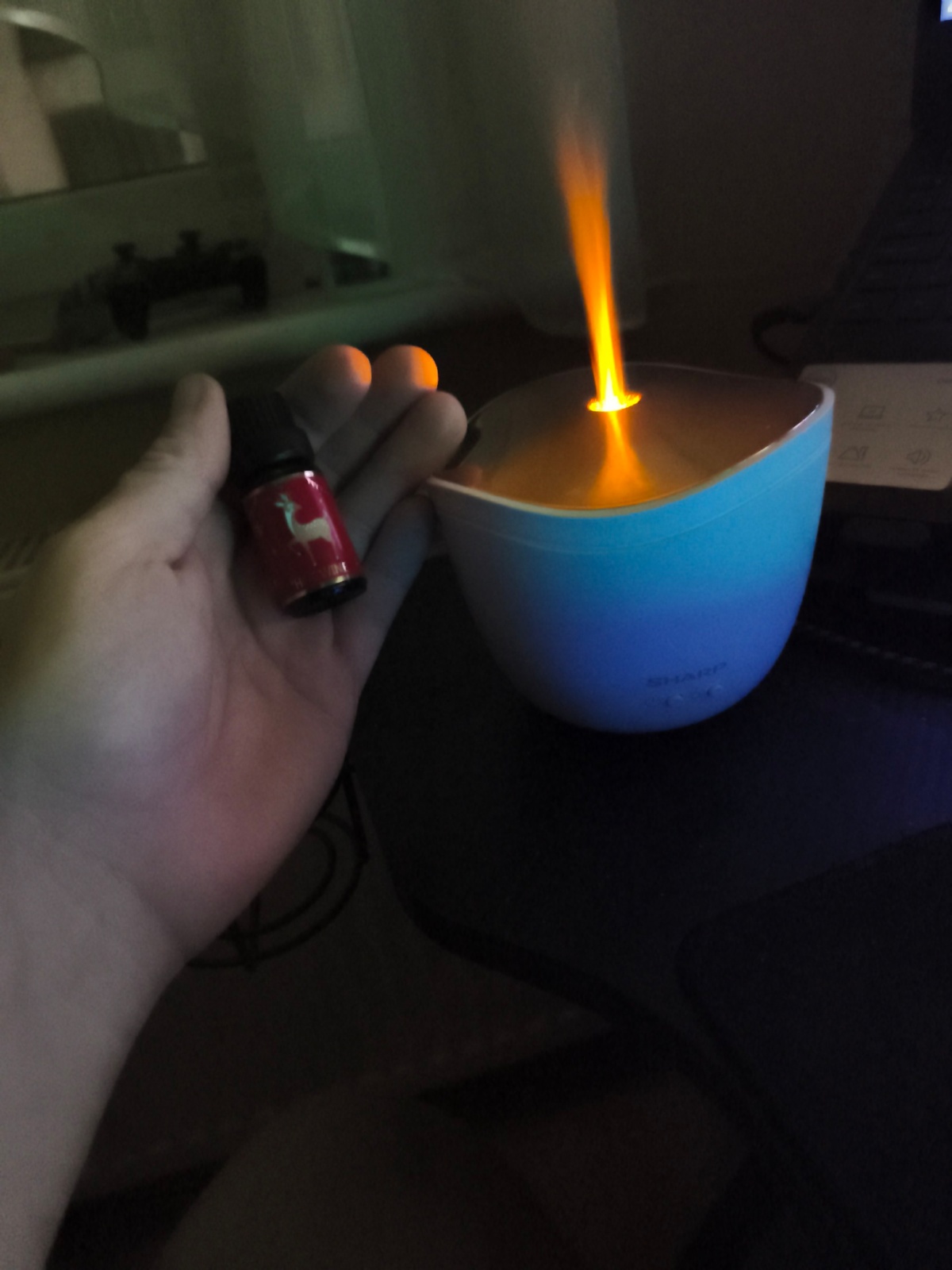 7bf145fe-9858-4c7f-ba32-bca6a3734d46