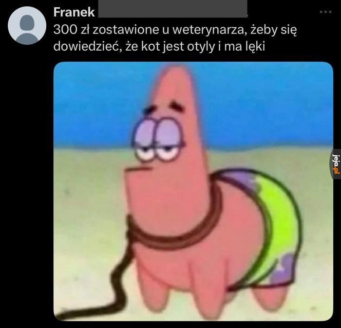 4889c543-3ce2-4a75-a75f-8b00321e2a22