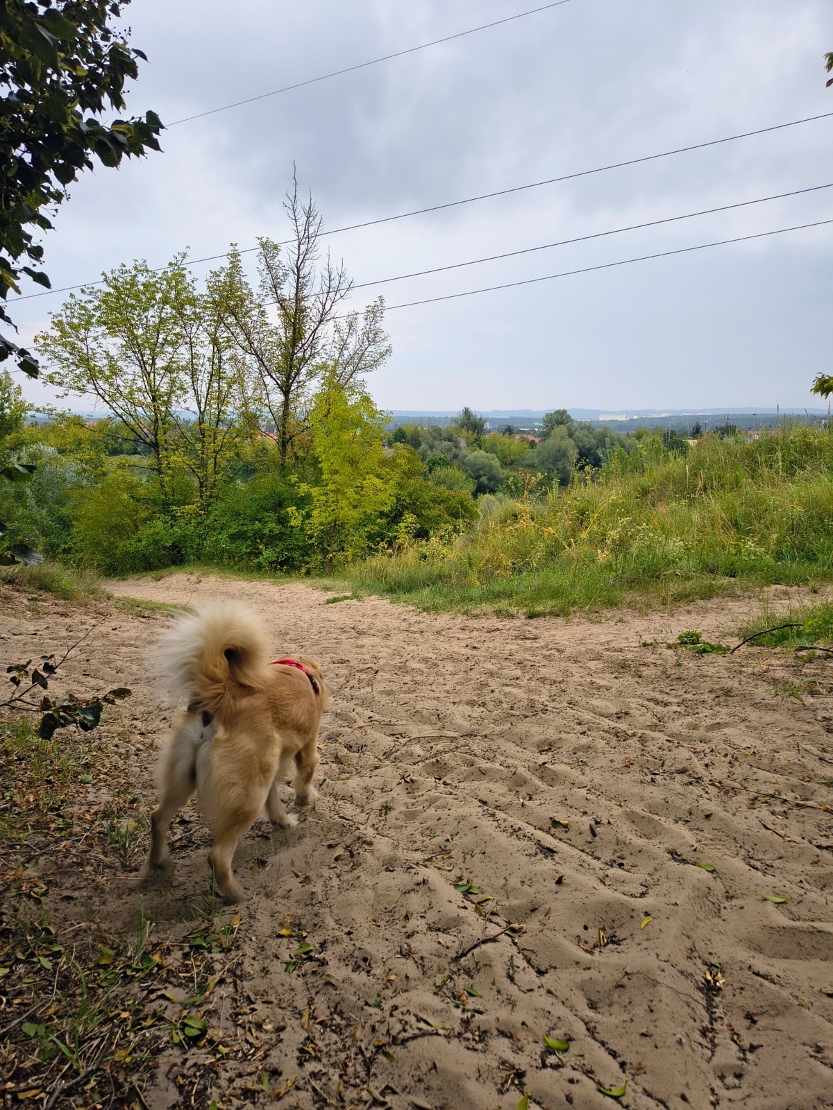 e14afb34-a89f-446c-a359-169449d86efa