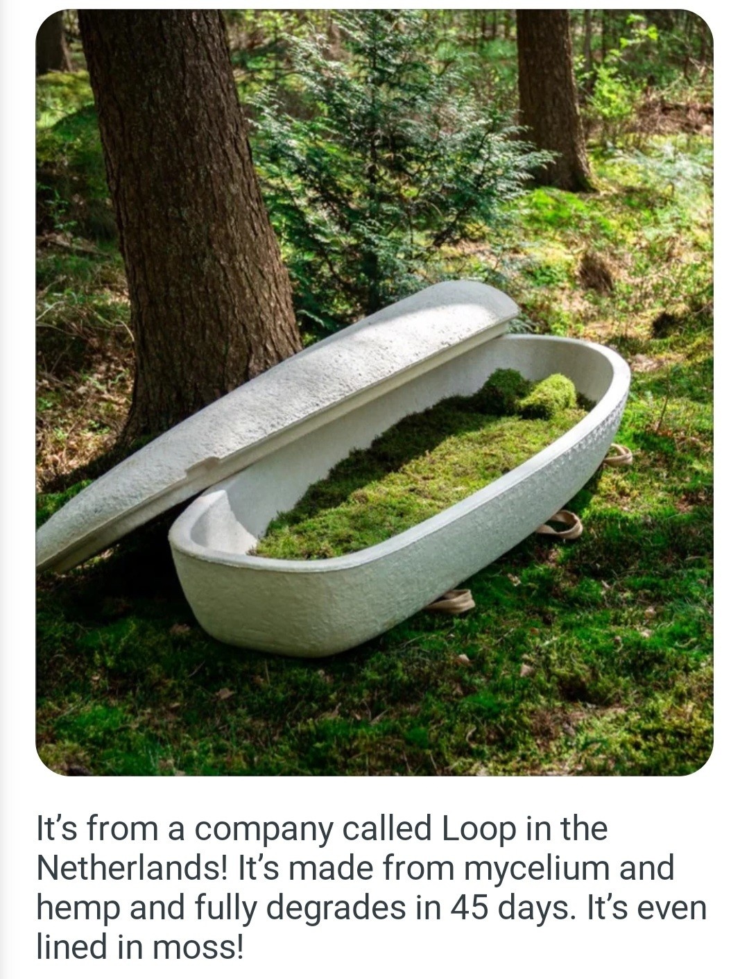 44443085-fd04-4608-ad9b-fd8206b6d55e