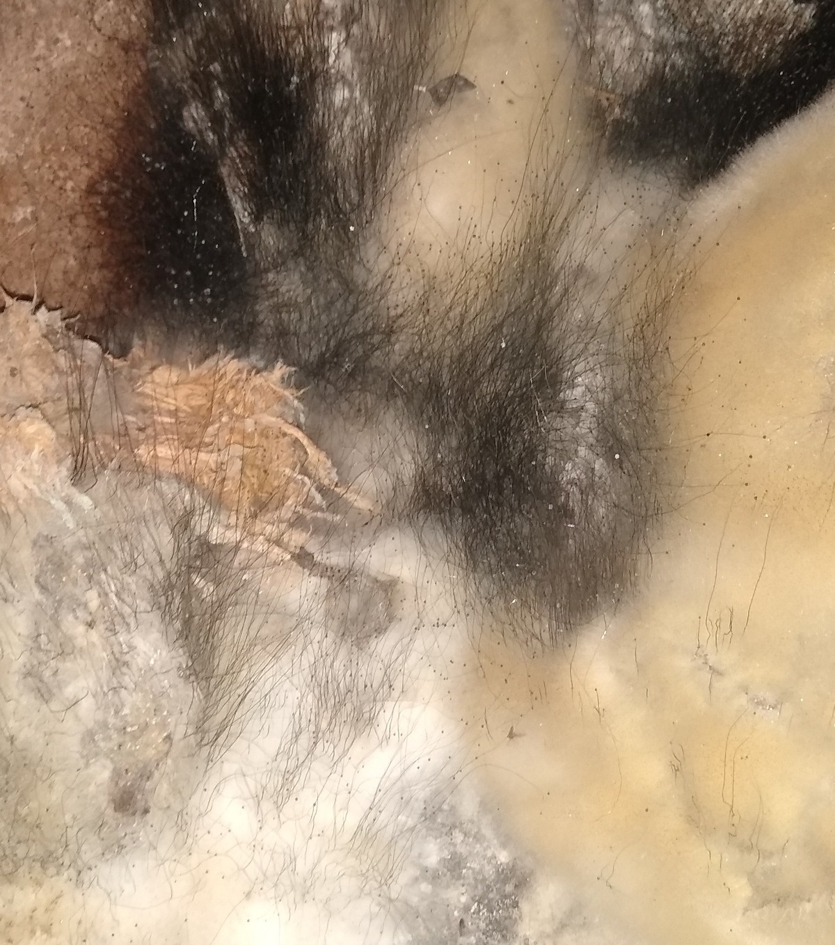 b14ccbf3-c09f-4174-8aba-ed8057553cc2