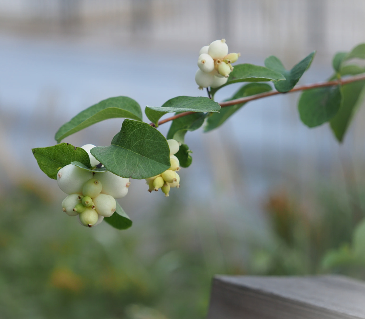 e7478971-a6c7-49c0-82ec-4e94df7cf530