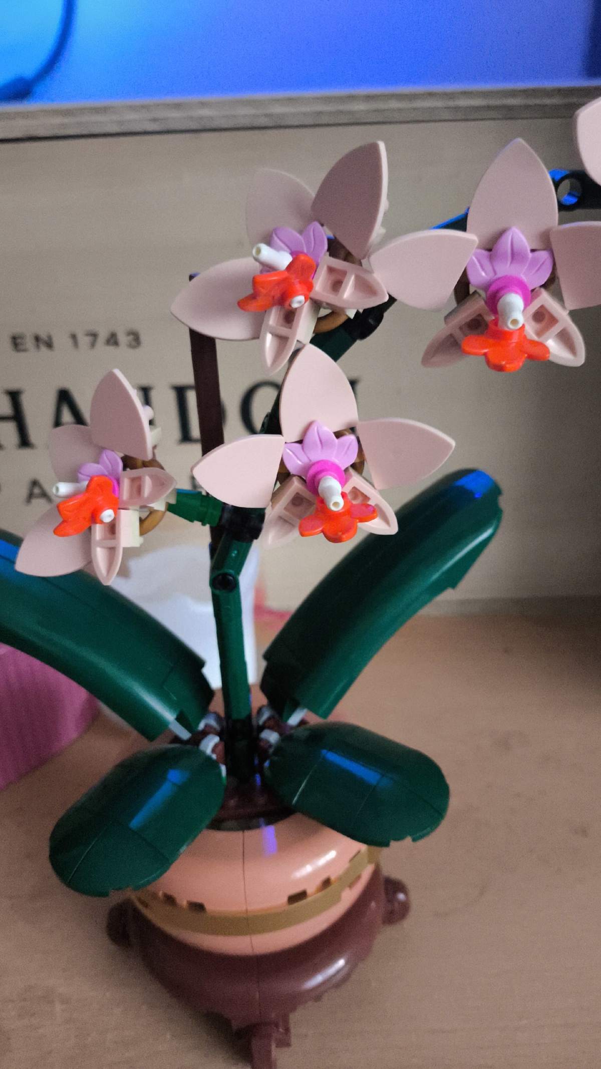 7043813a-d33e-440f-8db3-a6f5d2bc6c53