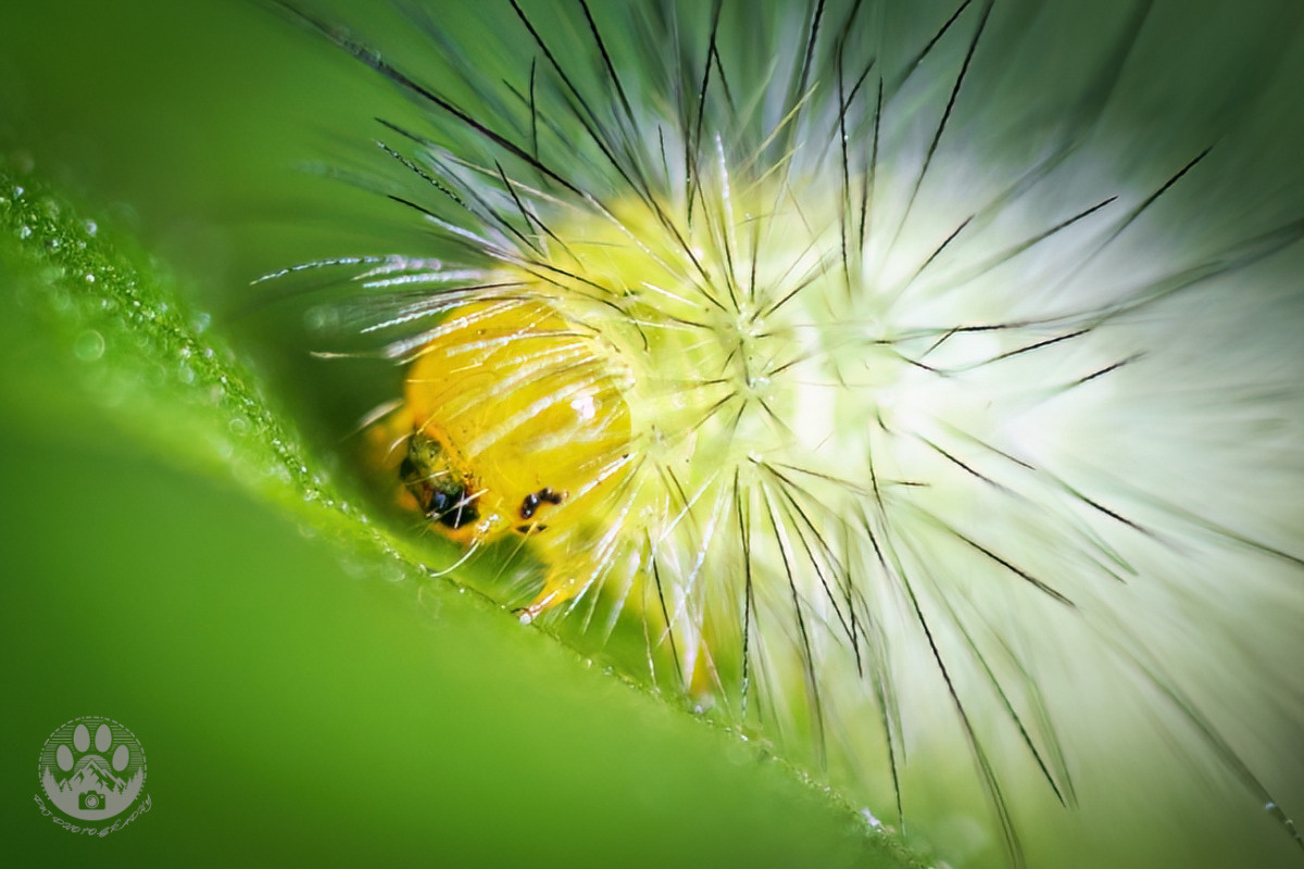 6d8f63a6-fff6-4c93-862c-b0f7cfb07865