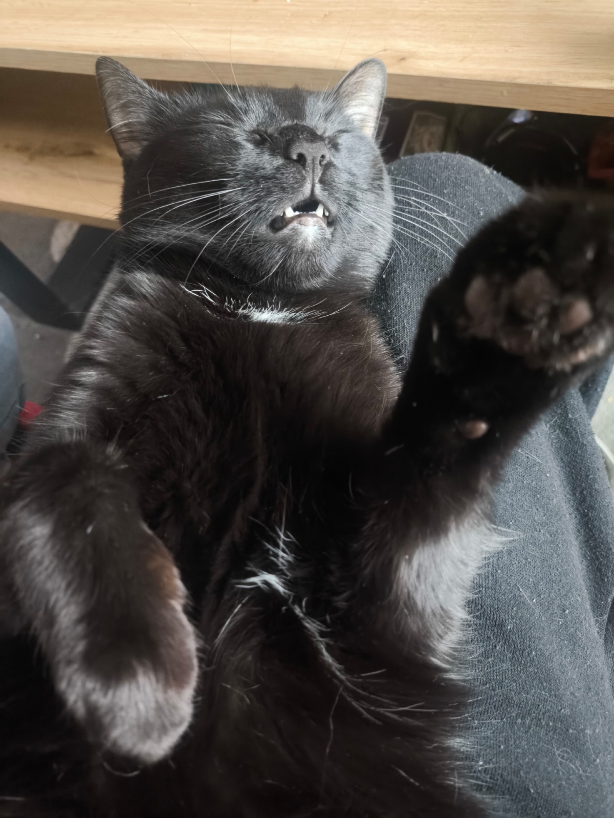 32a2fef6-b88c-4242-a639-9e774789309a