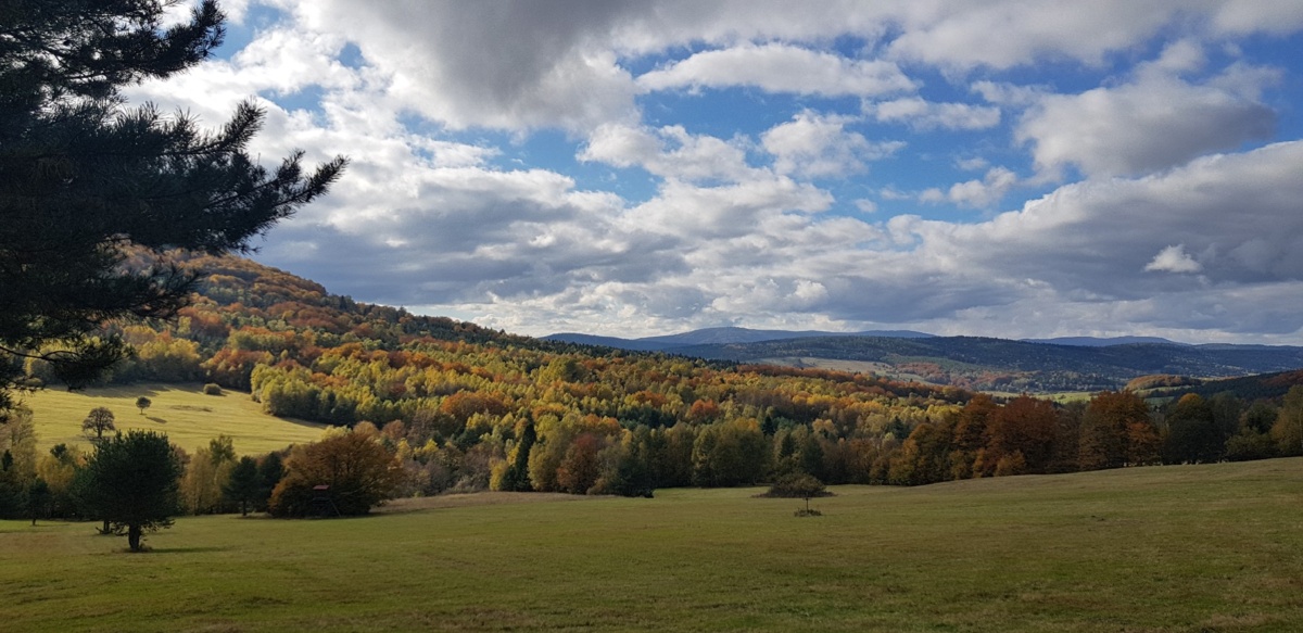 08df78f7-2b87-449a-b740-1be0f83ce84c