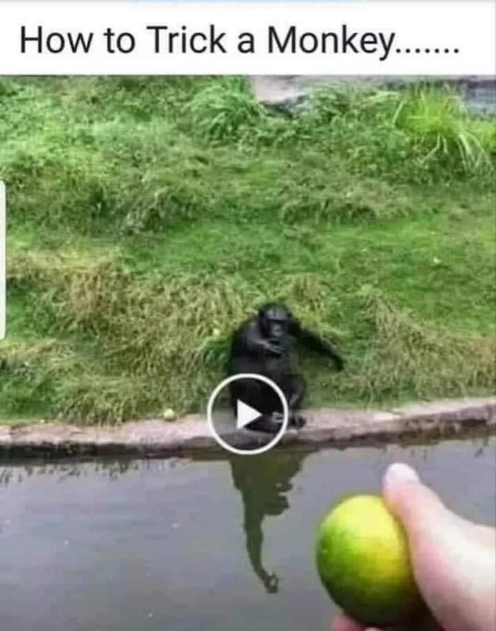 a18ffc68-c291-4630-84e5-859d2cba0a81