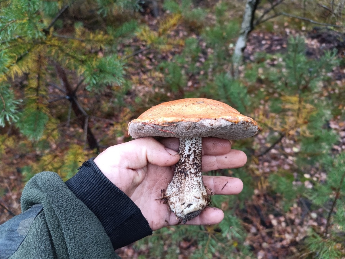 c979ba25-824f-4b84-9415-46d0489e8cc3