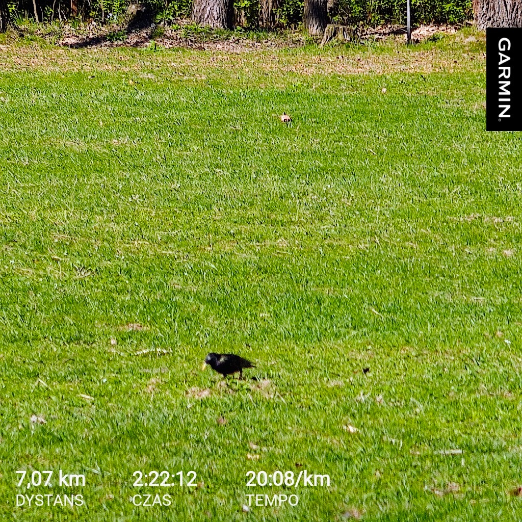 107a1d9f-1a84-4937-91bb-0ec24817002c