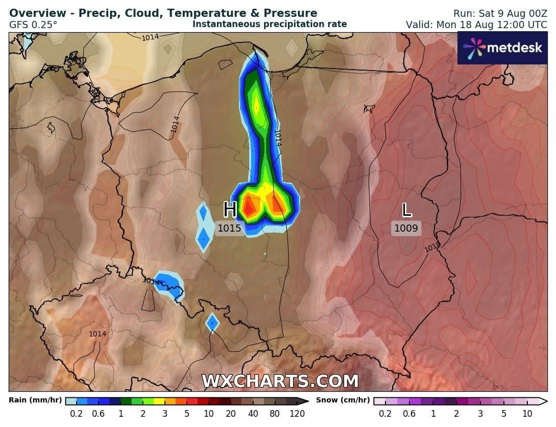 d264b82a-d31c-4857-8976-cf68c3bf7c47