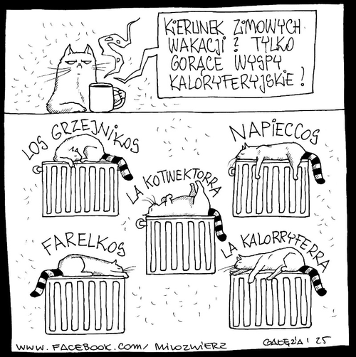 2ea8692e-c929-479d-9f5b-69fb0cc5e918