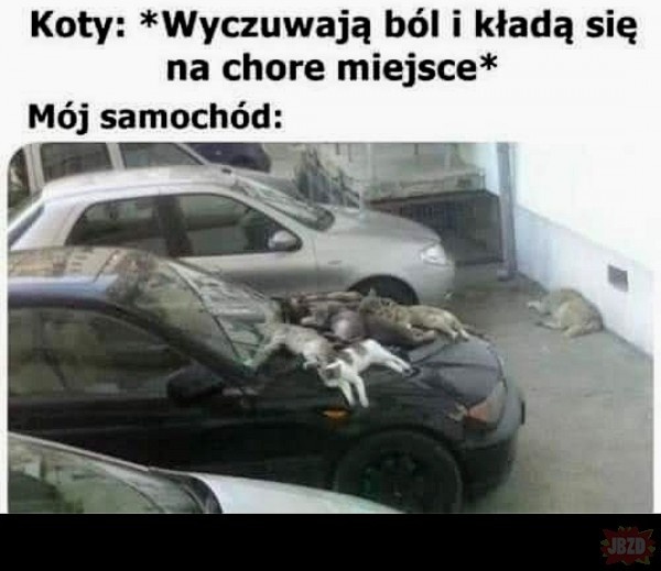 7e048682-4925-4ba4-b9ce-3f6934edcfe3