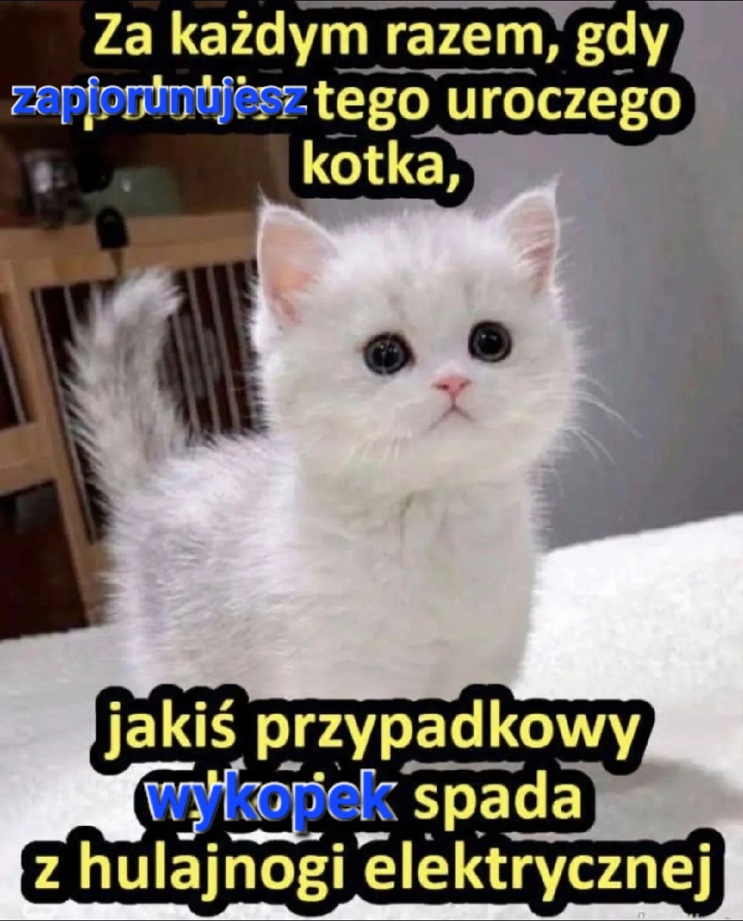 d0b9f7a2-16df-4727-96a6-eb5a9f7d0cbf