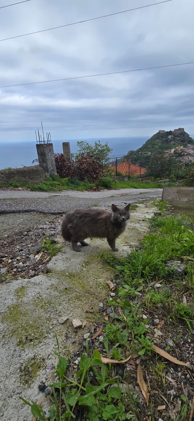 d2db360b-b277-4d70-915c-718585a4e73b