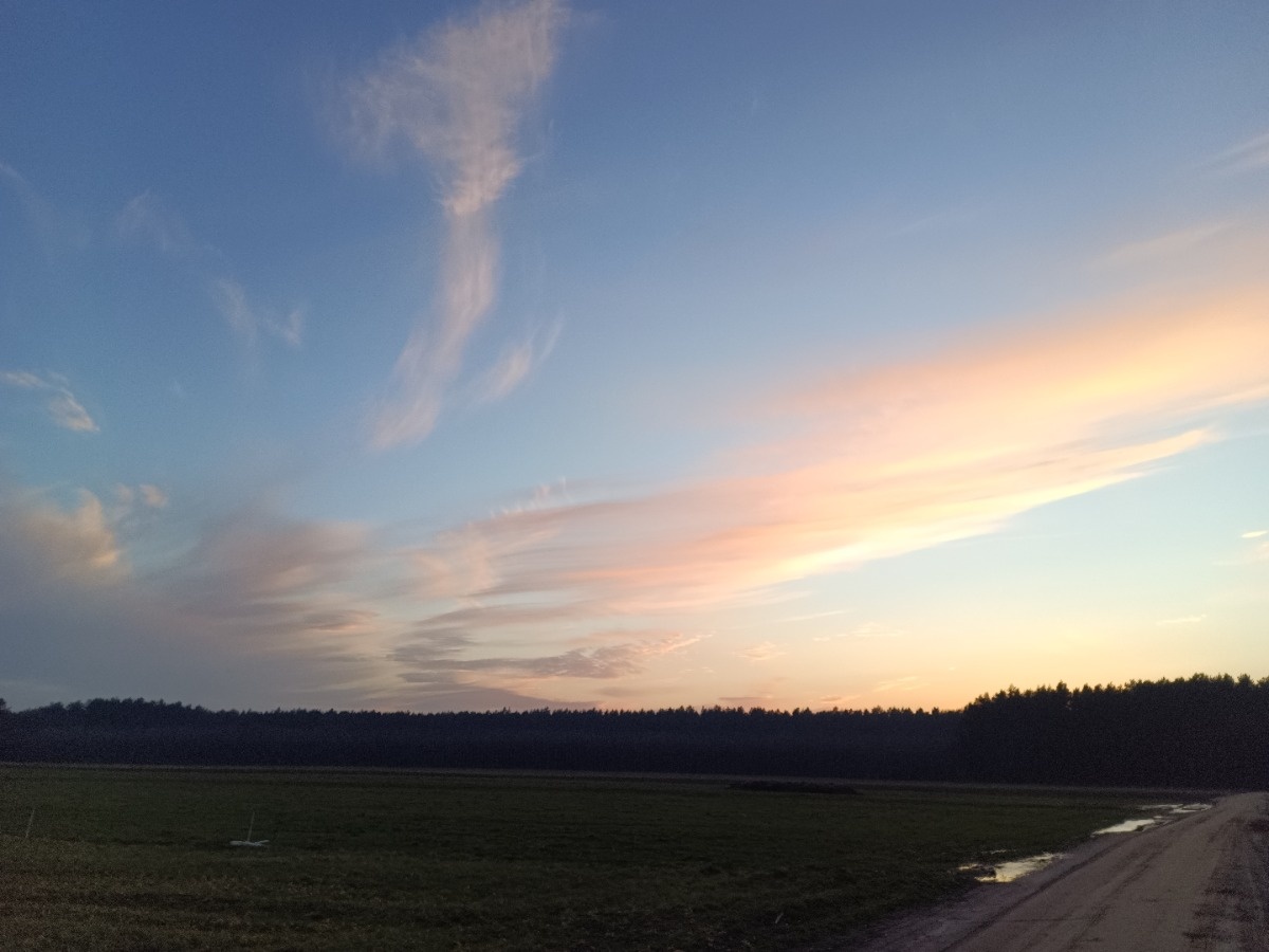 fc0353e5-3468-4b8d-a86b-b7c8ce773d39