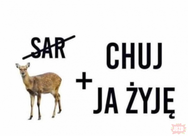 f0af8973-5671-40ab-9ea6-95fa94a799c1