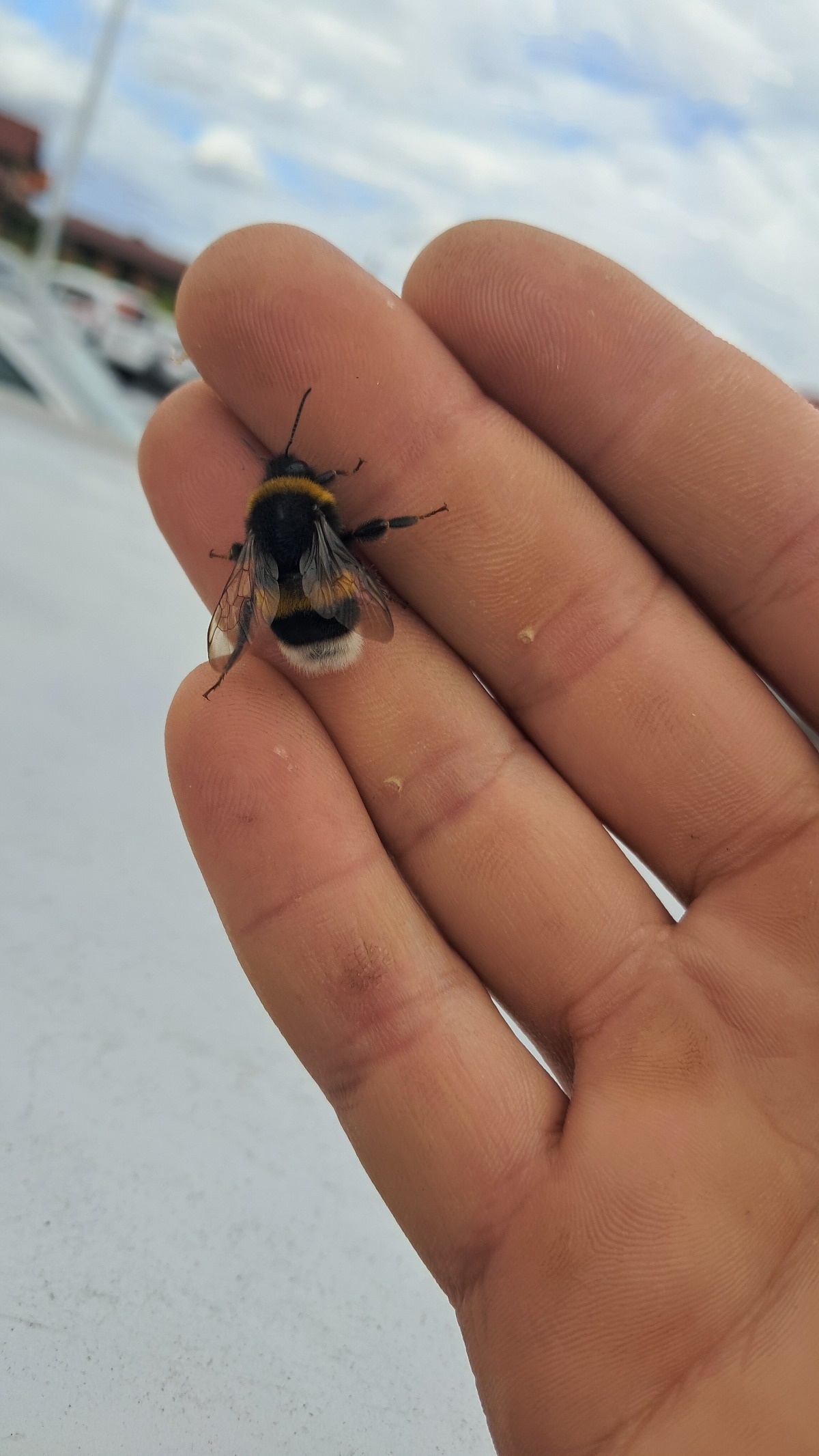 c2d3fa25-6362-4532-a37d-c33f80c0ae11