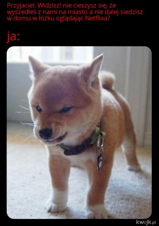 6987d291-0b9e-42b2-b257-f48eae668119