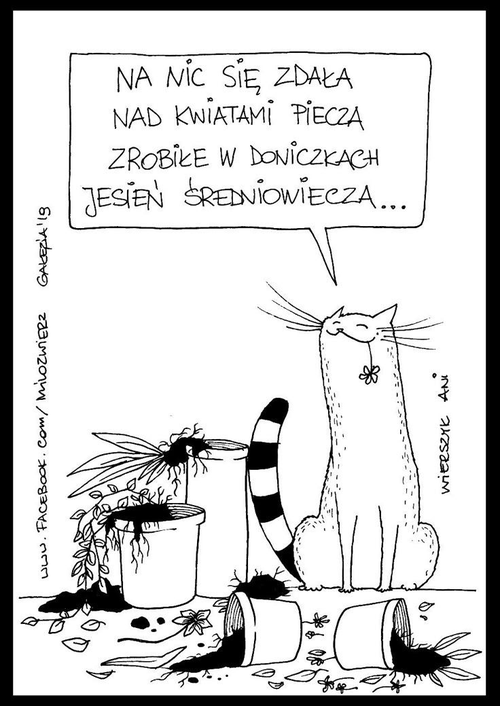 cffa48dd-bc9b-4cbc-bacc-37d40f9eb754