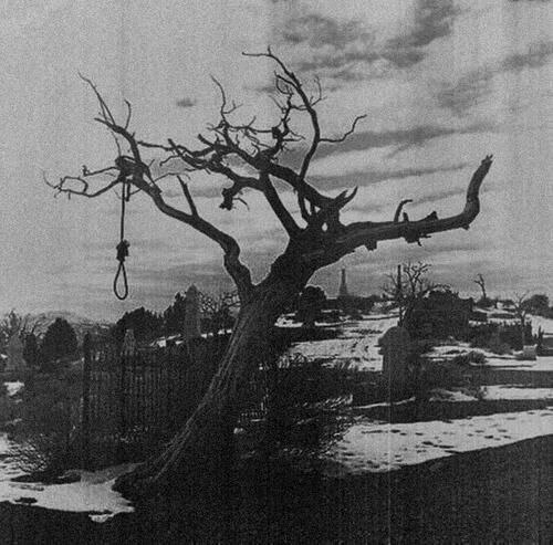 37b1c109-11dd-46aa-afbe-e8247a73b101