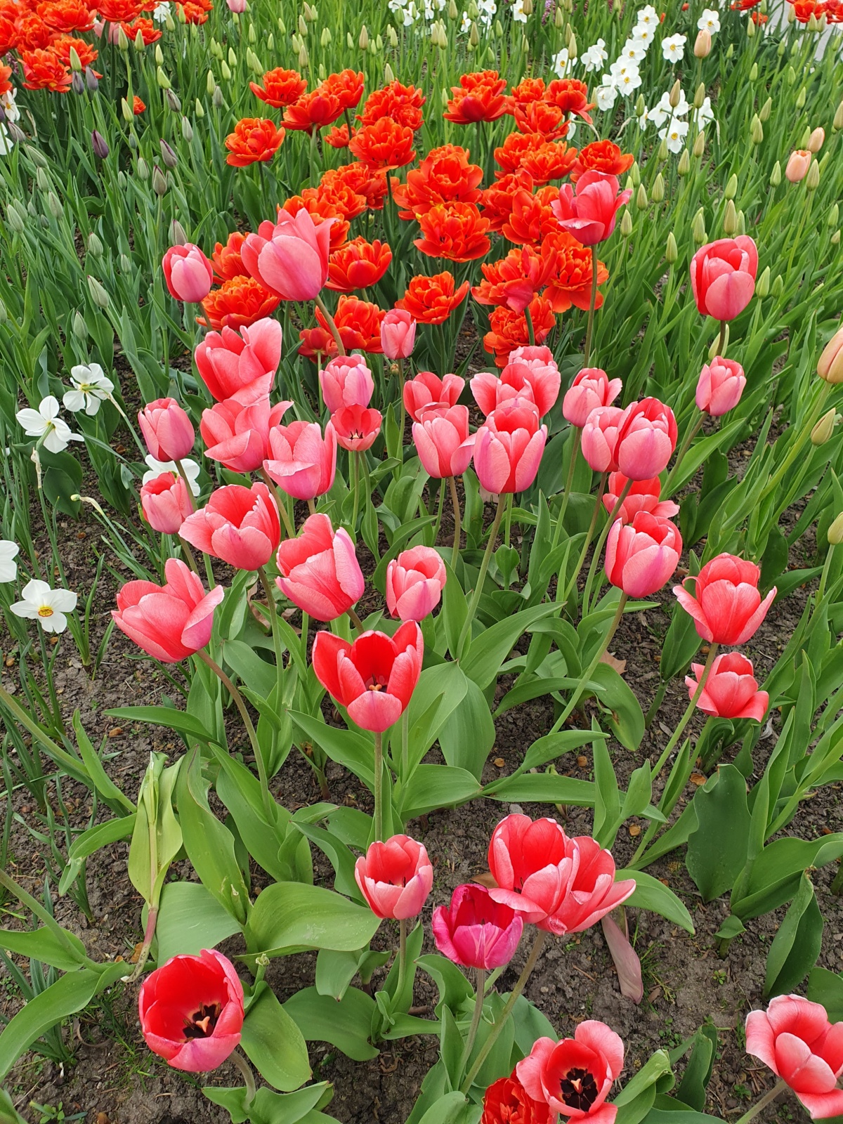 9c1c8c6b-237f-4903-bd07-e1f71af33a7d