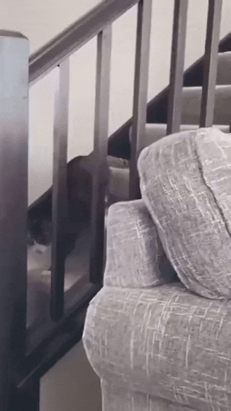 70463a7e-440f-411a-aba4-93cf23a4ffa9