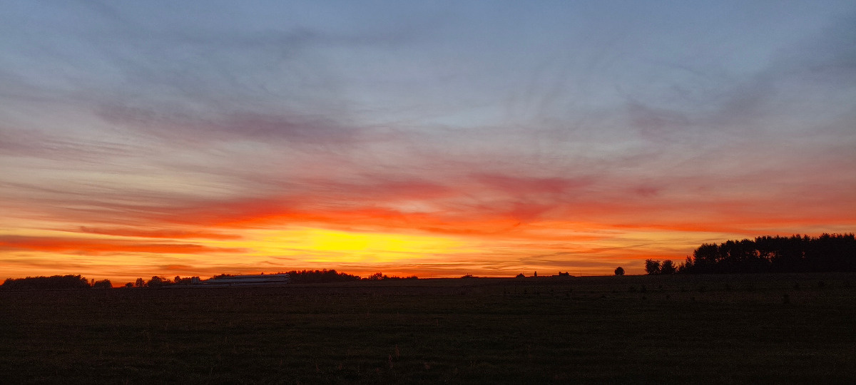 958feb20-5330-4763-86e6-b486210c594a