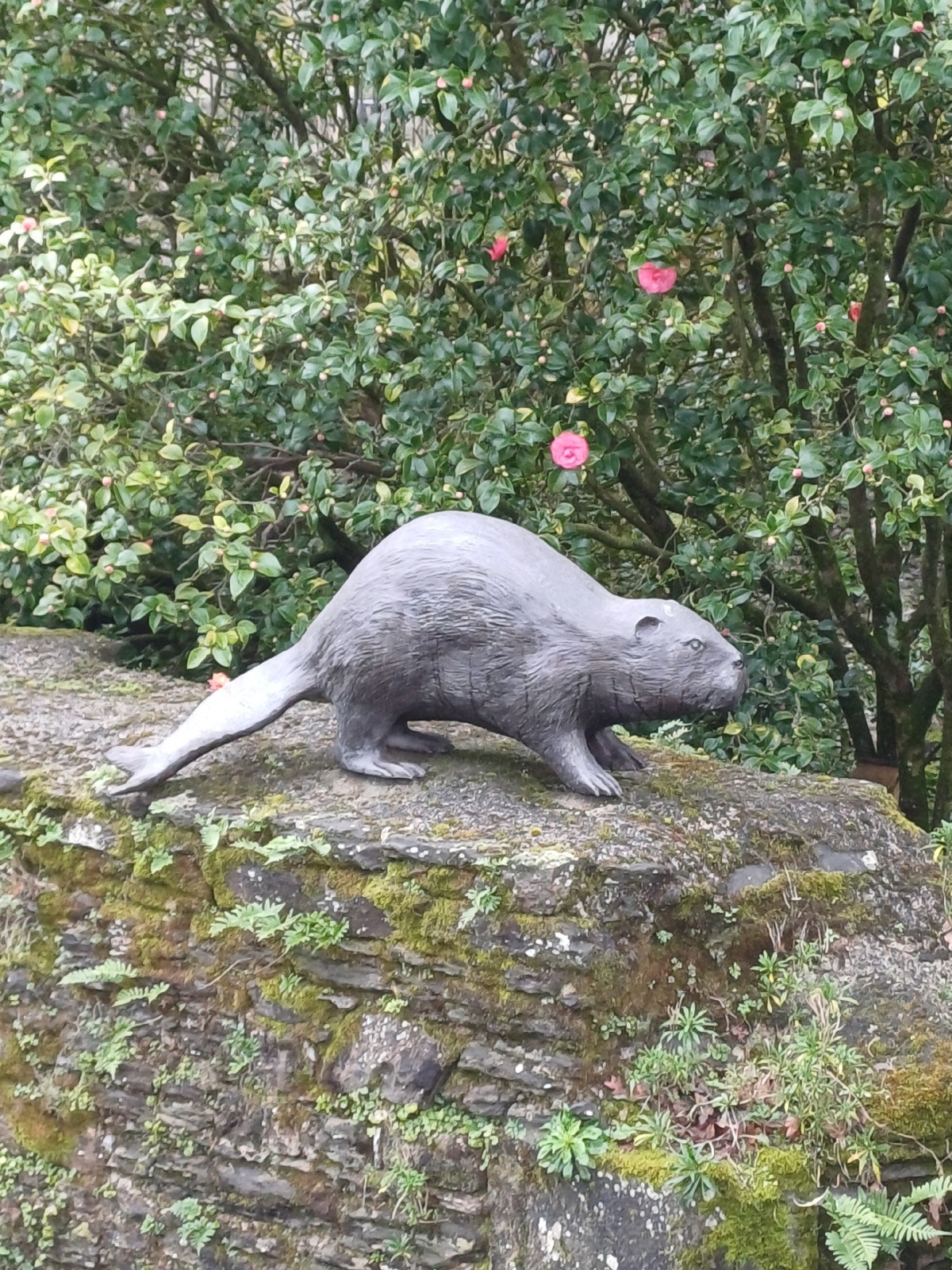 77731f4c-6a45-4cb5-ad49-a7efbf220a0e