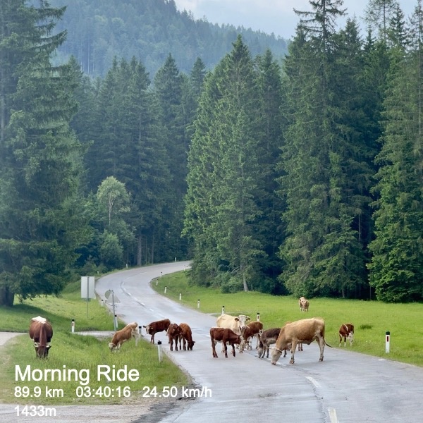 afab62cd-9c78-493f-9945-e20a9759a2ee