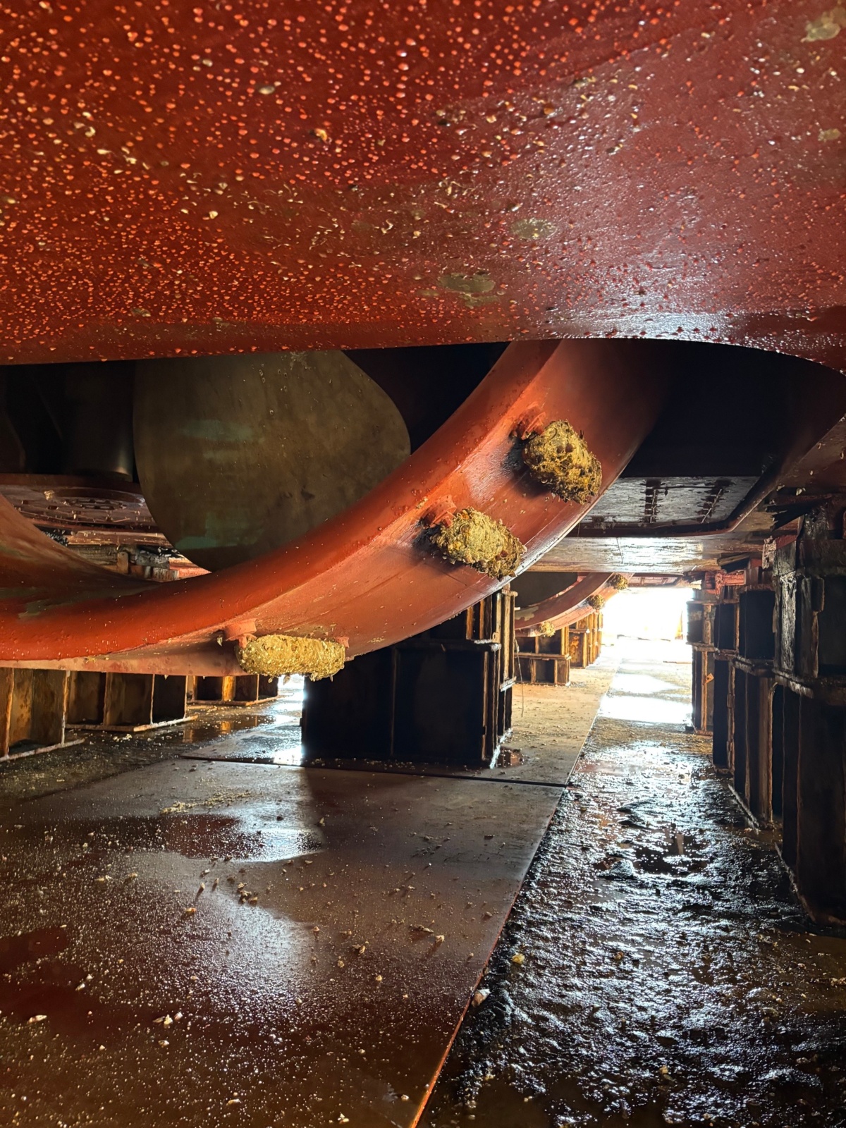 e28cdec2-8390-4ebe-84cb-da497ad5102e