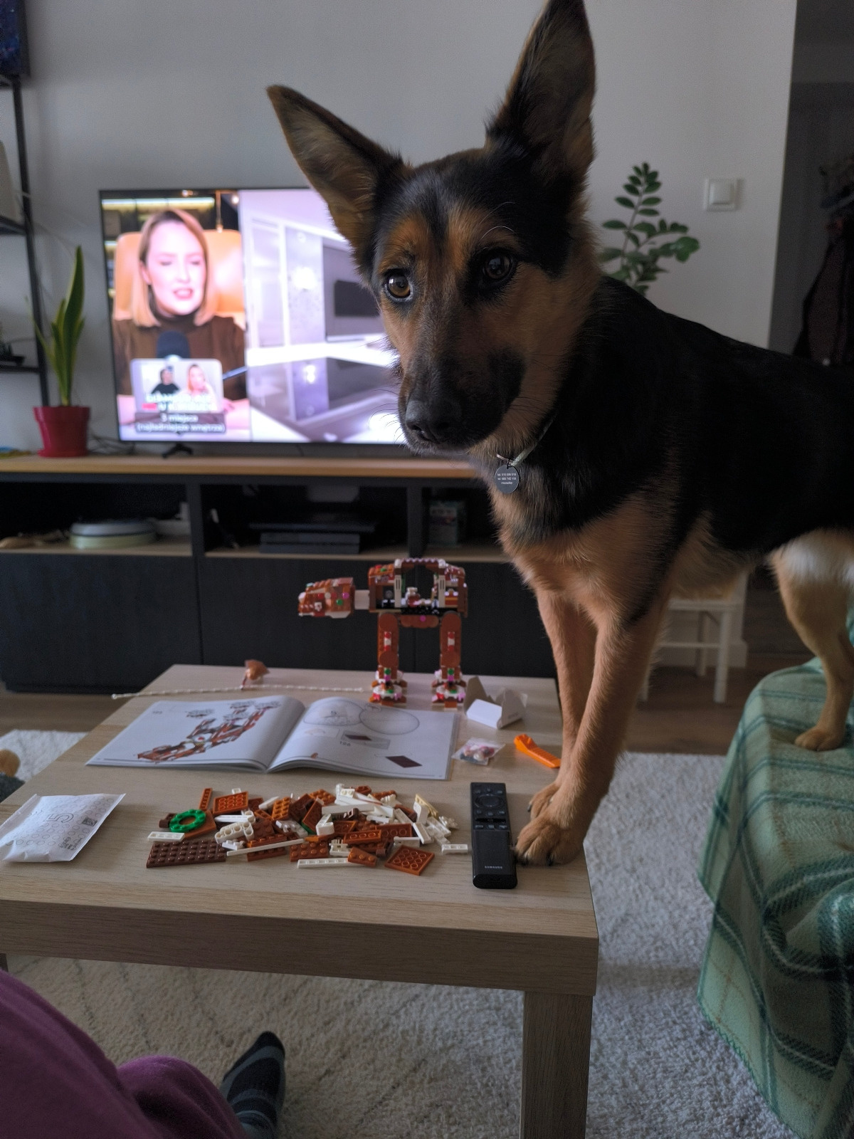 dafc8e4f-a039-4825-9608-20b66e2d3992