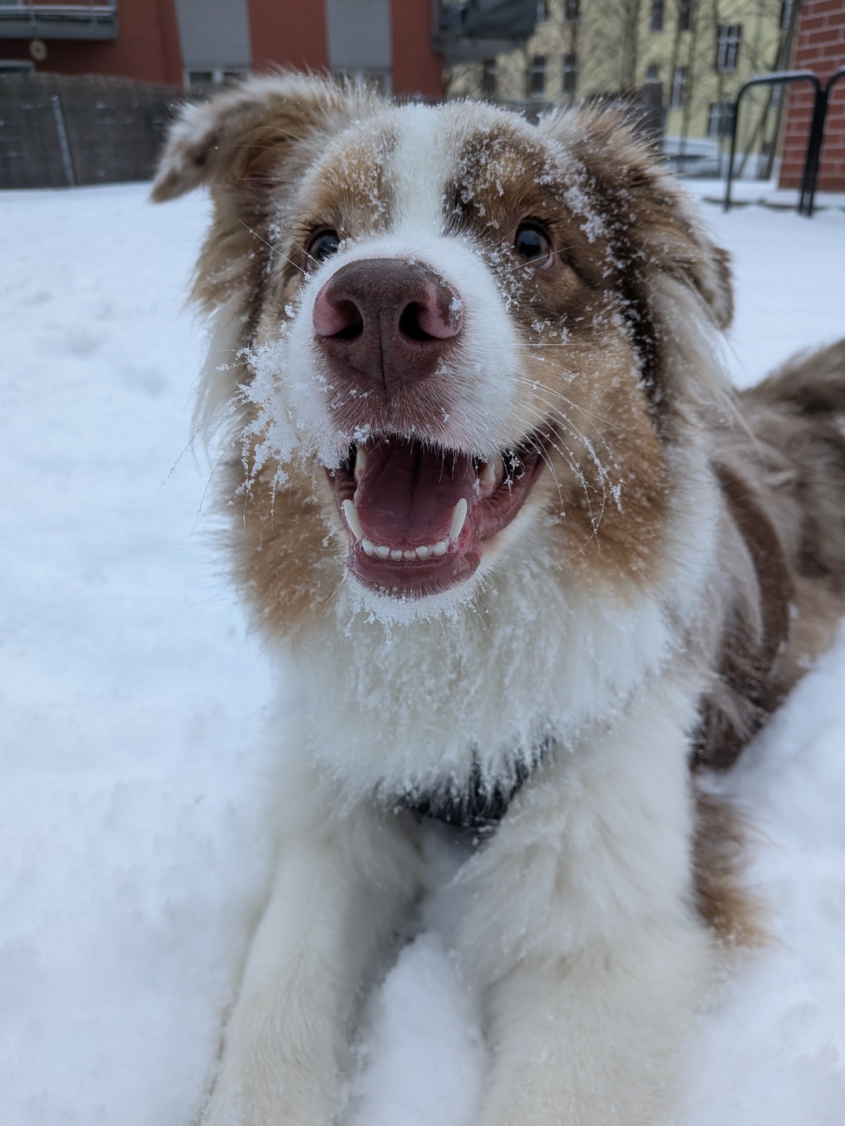 8b23c7a5-3046-482d-81a1-5b1175095f87