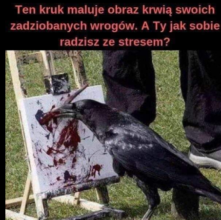 ba09d5bb-6ca4-448d-ad71-e409784c8319