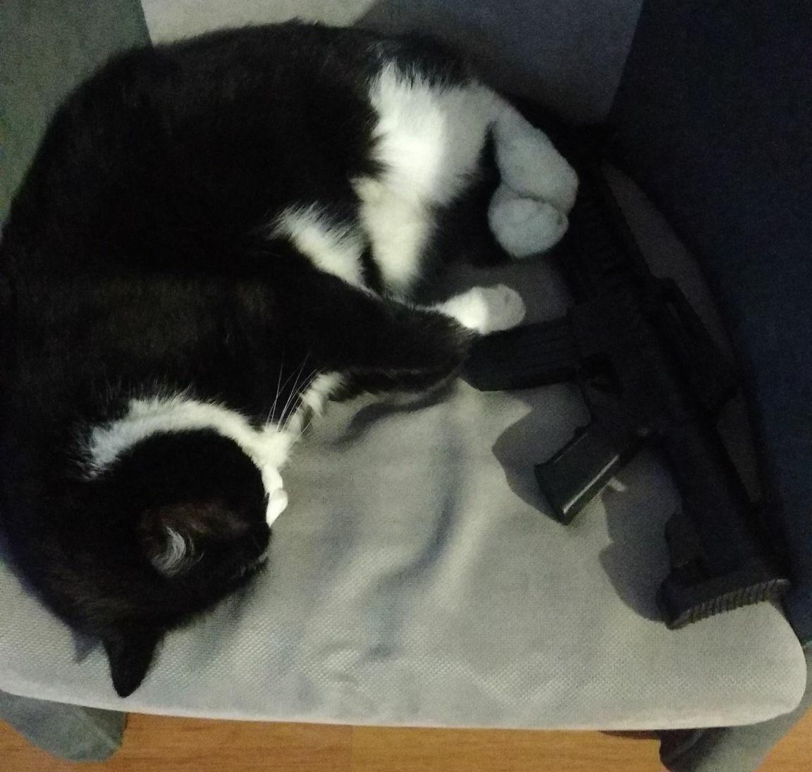 847dd69b-8f61-4e11-84a3-c99c4e89ef08