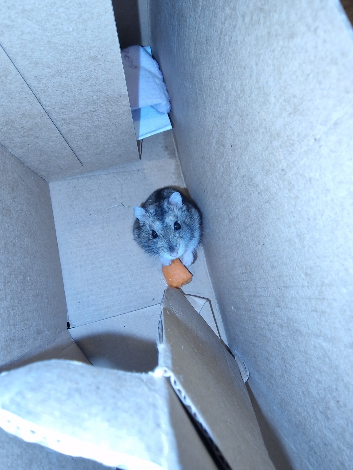 cd8246b6-b120-4bd7-acef-6cf1dc2c304c