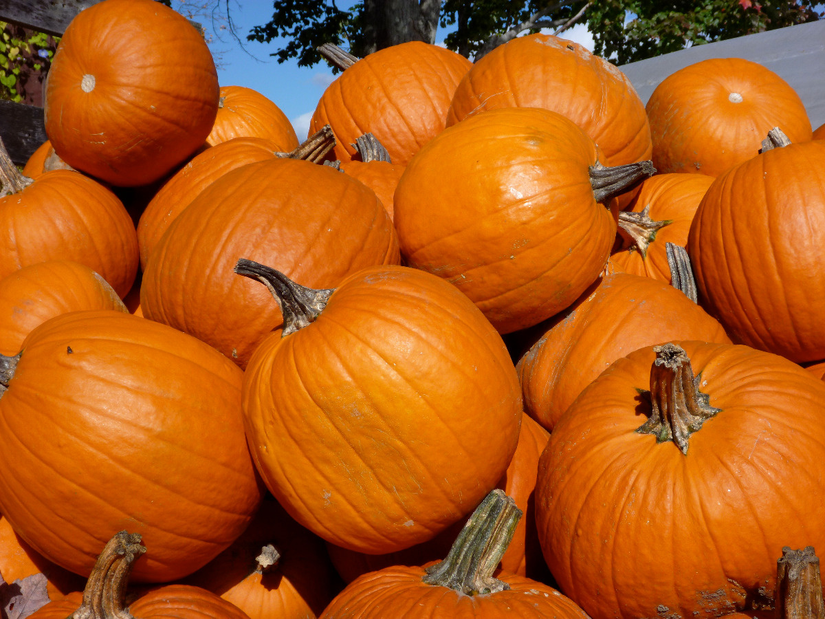 09e45fd7-f7cd-42e3-addd-0e8289ff4a81