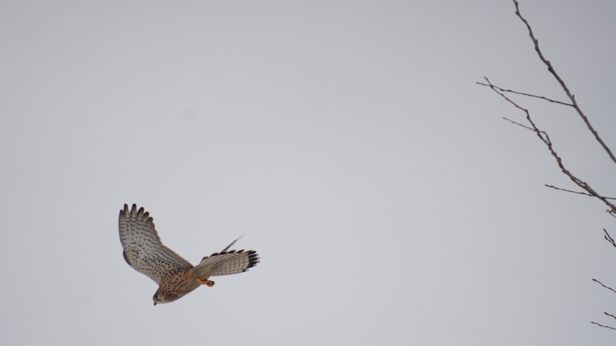 aec5a51d-5c1c-4722-b88e-bb2bd3f25abd