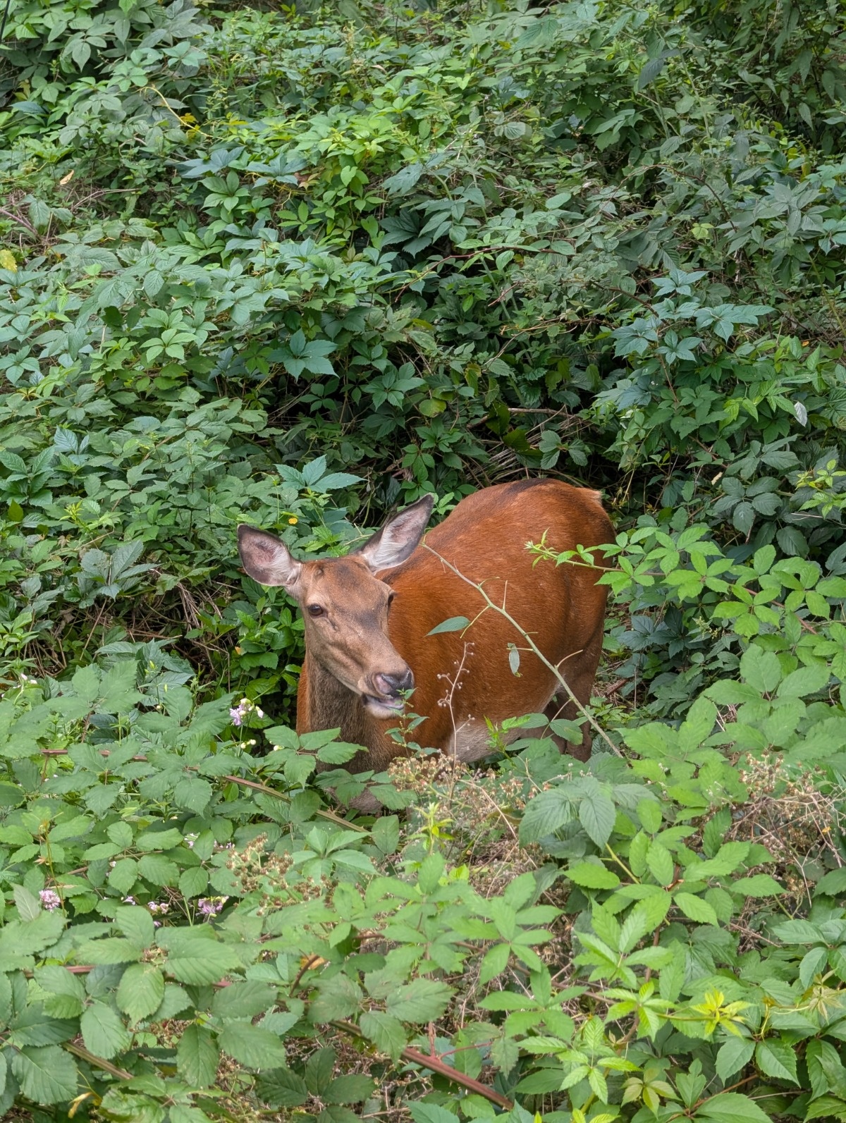 0294ef78-114c-45df-b62c-99fa32b20e42