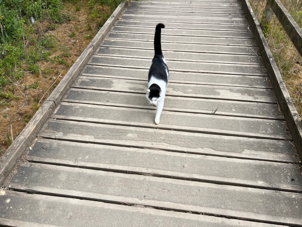 b62f3676-db4d-4402-ae0c-edc8eb62fa71